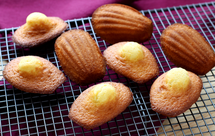 Madeleines do chef Conticini